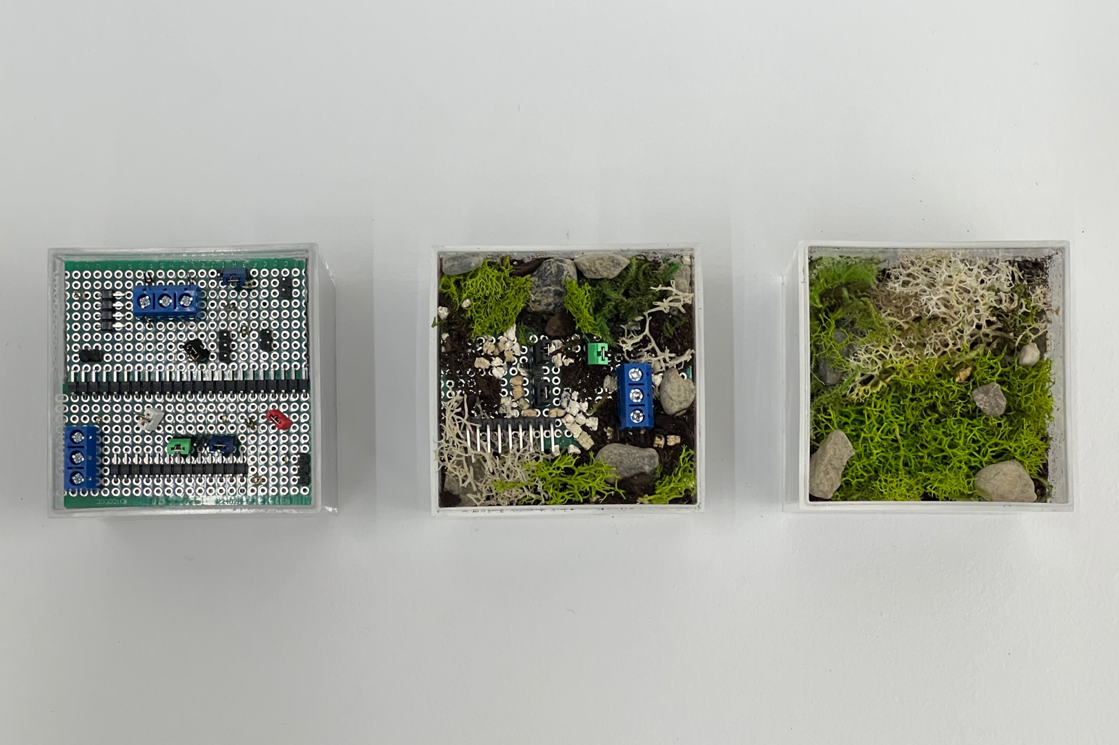 Top view of the three MOSSCUBE habitats