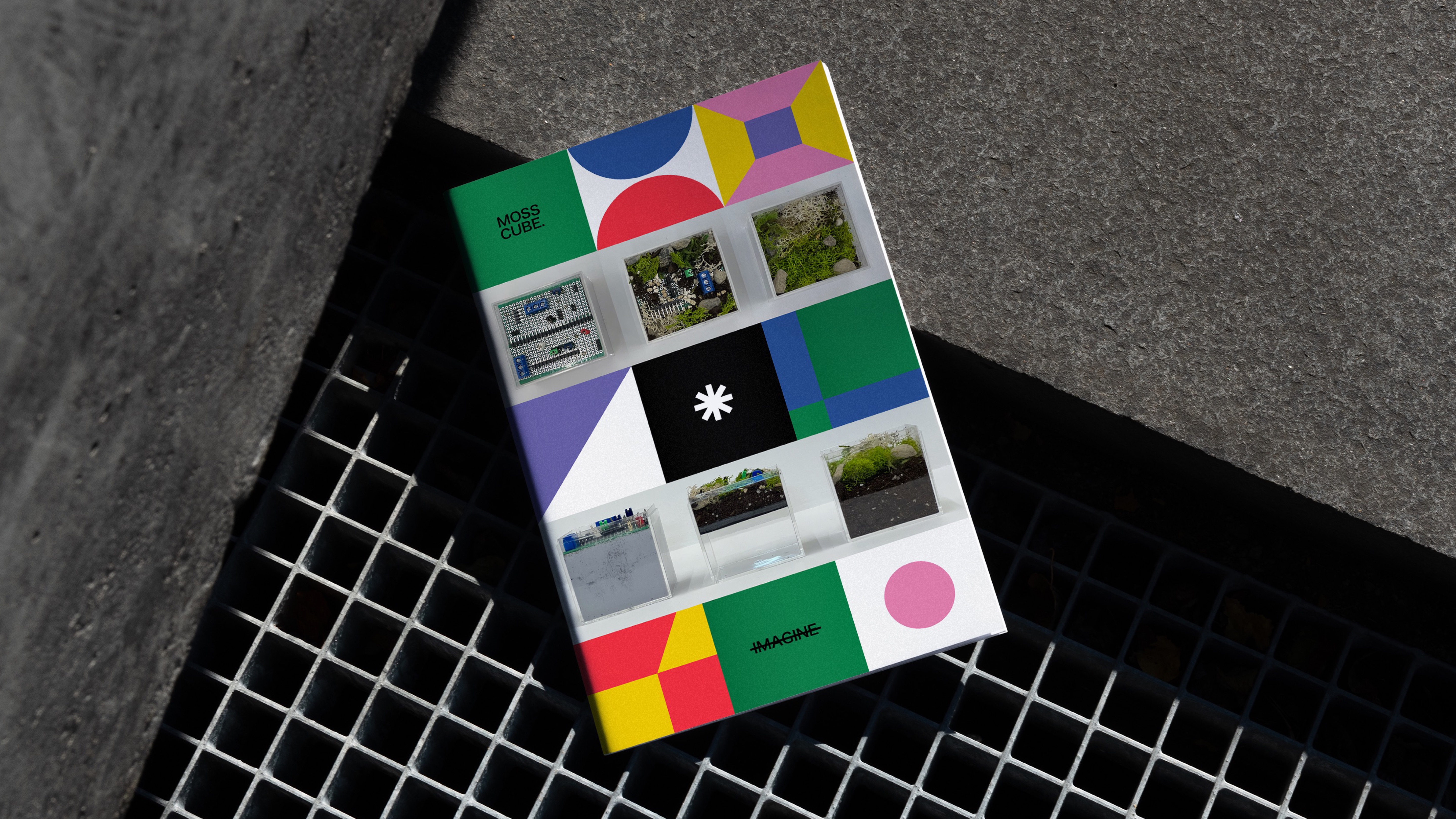 MOSSCUBE installation catalogue on a city grate, with transparent moss habitats