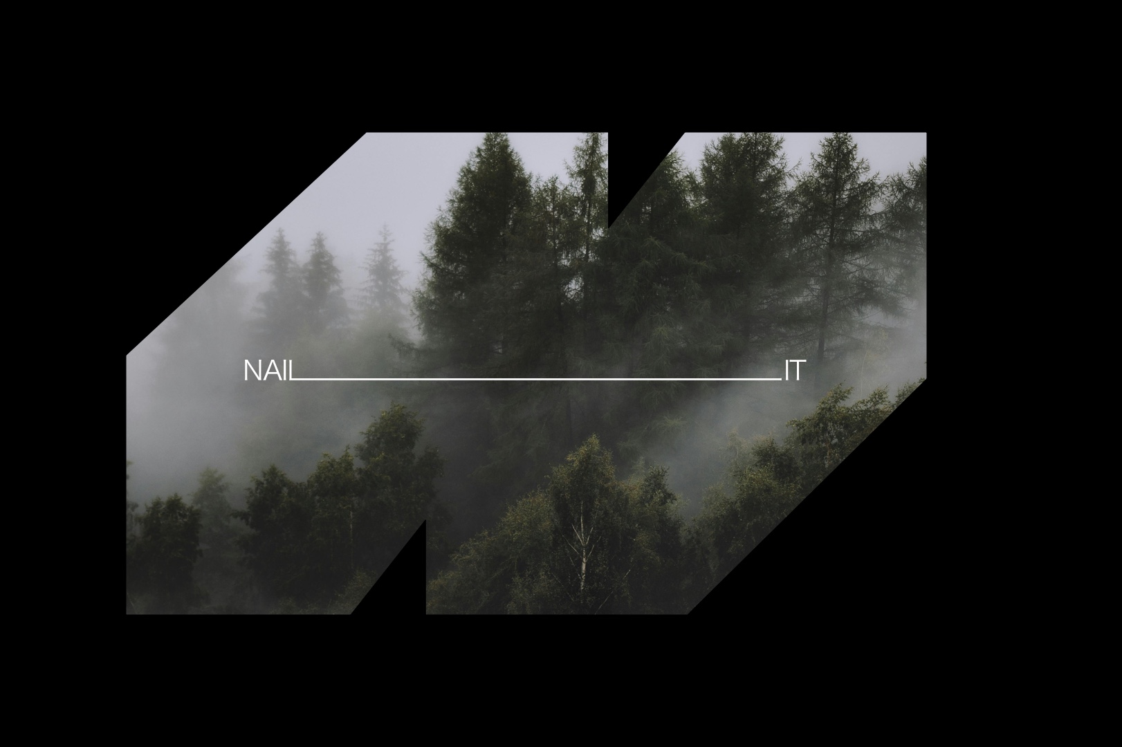 NAILIT identity mark framed against a misty forest image